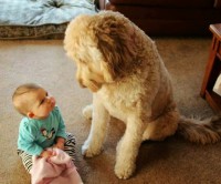 /album/vicces-kepek/facebook-1410447950656-1-jpg/